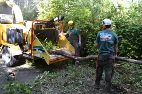 tree services Roseville